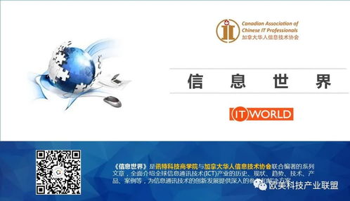 C語言與MySQL 構建高效的管理系統與信息系統世界淺析